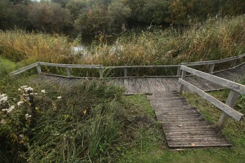 Passerelle en bois dans le marais/étang Saint-Ladre de Boves