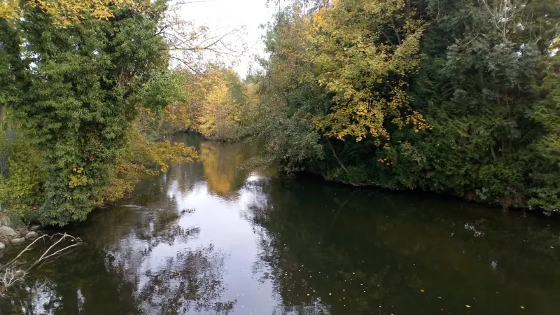 La Somme à Fouilloy, rivière calme bordée d'arbres