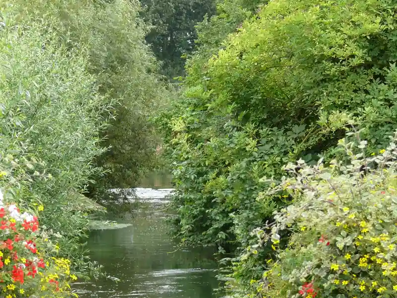 L'Avre à Moreuil, berges fleuries