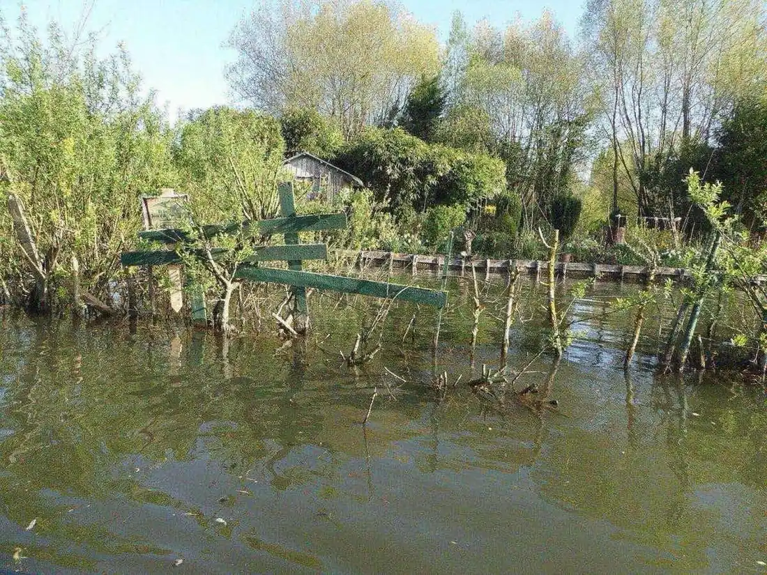 Les hortillonnages d'Amiens, canaux et parcelles